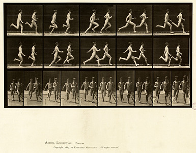 21- V1- Plate 69